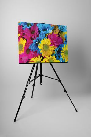 Tablou canvas : Flori colorate [2]