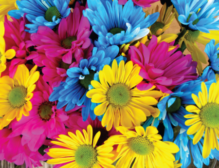 Tablou canvas : Flori colorate [3]