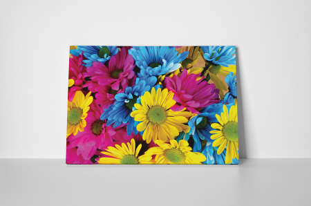 Tablou canvas : Flori colorate [1]