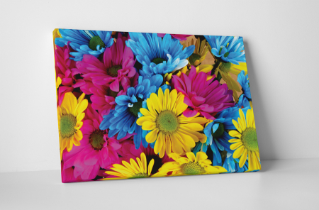 Tablouri Canvas - Tablou canvas : Flori colorate