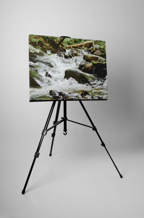 Tablou canvas : Paraul [2]