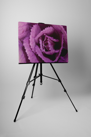 Tablou canvas : Varza rosie [2]