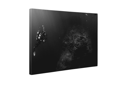 Tablou canvas : Scafandru [4]