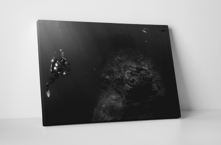Alb-negru - Tablou canvas : Scafandru