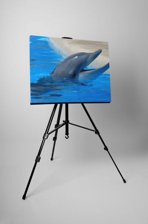 Tablou canvas : Delfin [2]