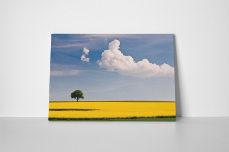 Tablou canvas : Peisaj de vara [1]