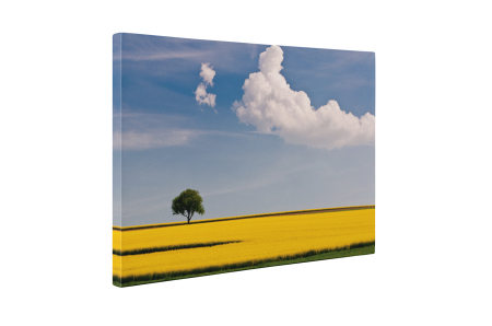 Tablou canvas : Peisaj de vara [4]