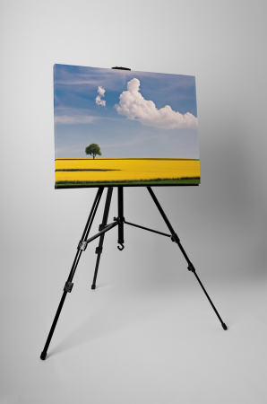 Tablou canvas : Peisaj de vara [2]