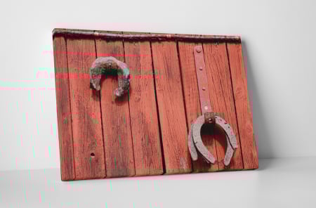 Tablouri Canvas - Tablou canvas : Potcoave