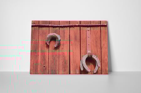 Tablou canvas : Potcoave [1]
