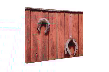 Tablou canvas : Potcoave [4]