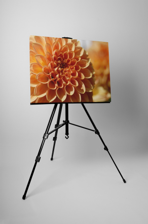 Tablou canvas : Dalie [2]