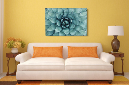 Plante - Tablou canvas : Fibonacci