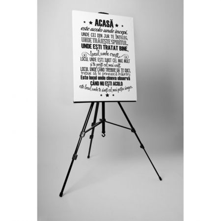 Tablou canvas : Acasa [2]