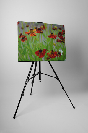 Tablou canvas : Flori uscate [2]
