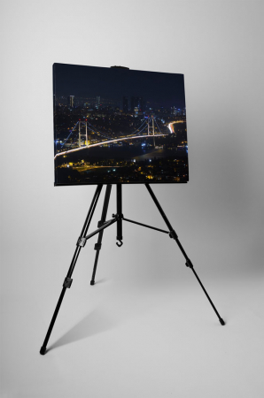 Tablou canvas : Camlica Hill [2]