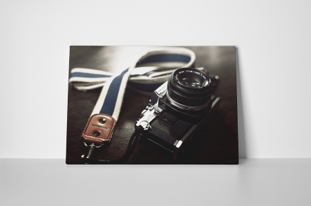 Tablou canvas : Aparat foto Olympus [1]