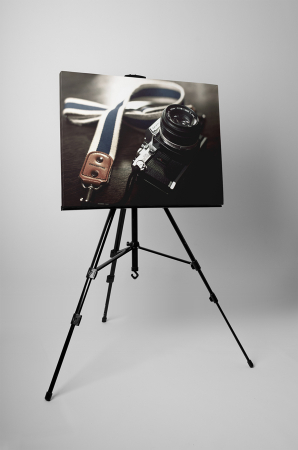 Tablou canvas : Aparat foto Olympus [2]