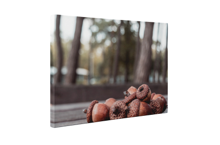 Tablou canvas : Ghinde [4]
