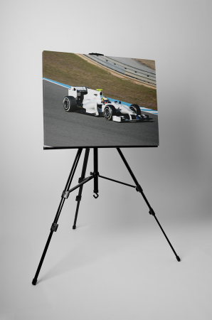 Tablou canvas : Formula 1 [2]