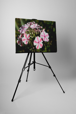 Tablou canvas : Floare cu dungi [2]