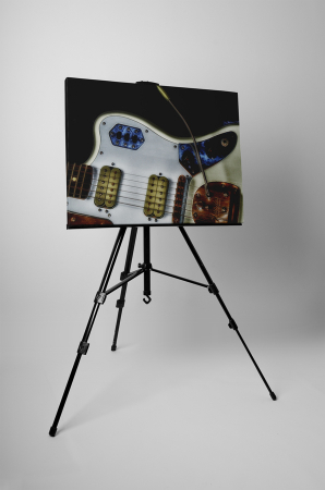 Tablou canvas : Chitara rock [2]