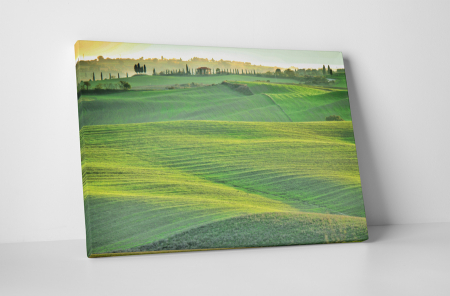 Natură - Tablou canvas : Campul verde