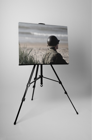 Tablou canvas : Soldat [2]