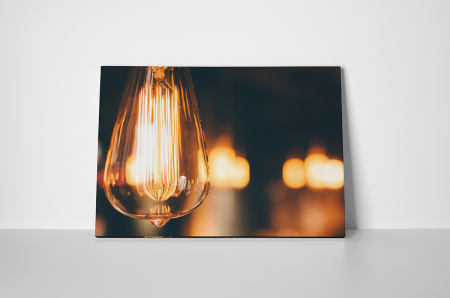 Tablouri Canvas - Tablou canvas : Edison