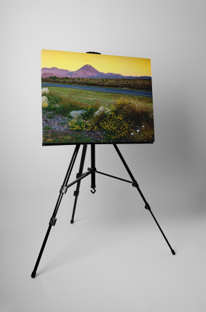 Tablou canvas : Drum in mijlocul Arizonei [2]