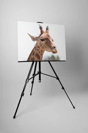 Tablou canvas : Girafa simpatica [2]