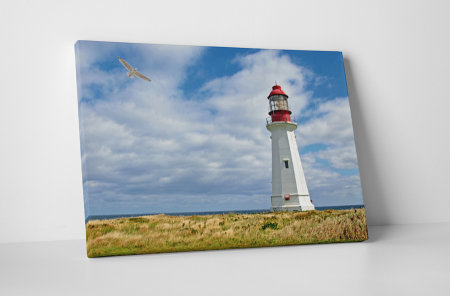 Tablouri Canvas - Tablou canvas : Farul si pescarusul