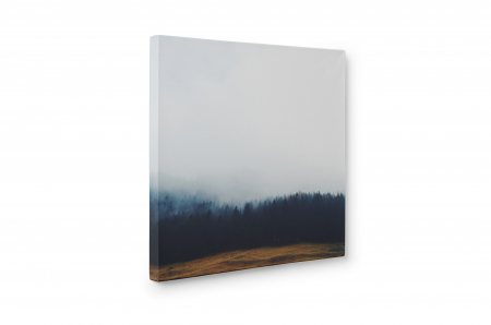 Tablou canvas : Natural landscape [3]
