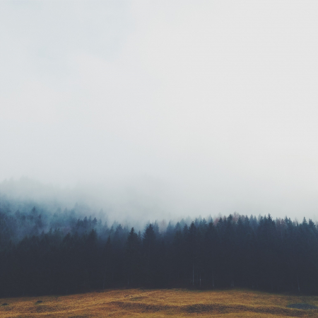 Tablou canvas : Natural landscape [2]