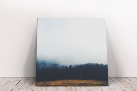 Tablou canvas : Natural landscape [1]
