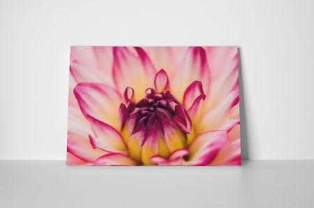 Tablouri Canvas - Tablou canvas : Iubim Natura