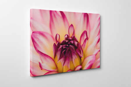 Tablou canvas : Iubim Natura [2]