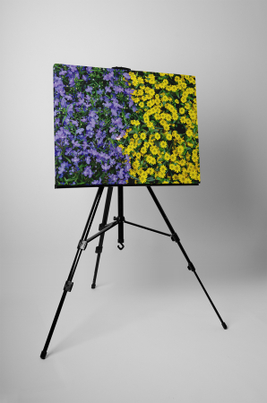 Tablou canvas : Covor de flori [2]