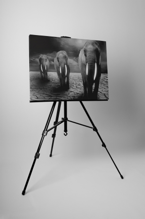 Tablou canvas : Trei elefanti [2]