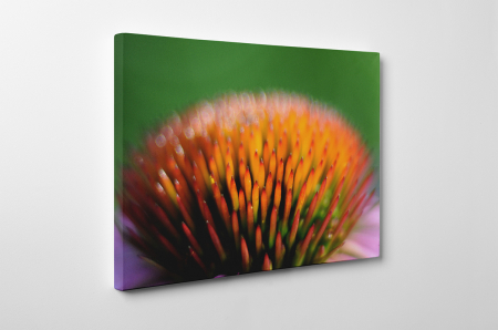 Tablouri Canvas - Tablou canvas : Explozie de culori
