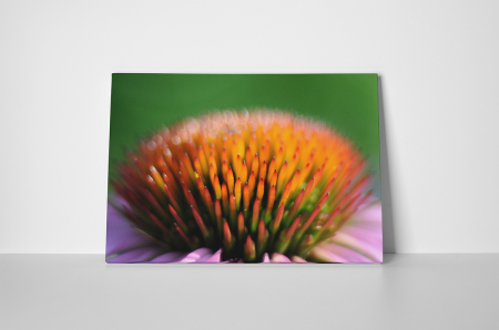 Tablou canvas : Explozie de culori [1]
