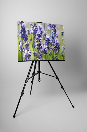 Tablou canvas : Levantica [2]