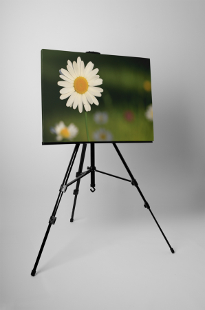 Tablou canvas : Un musetel [2]