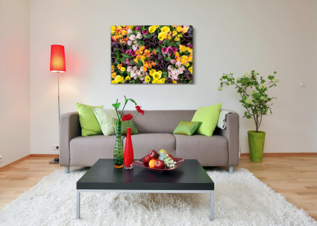 Tablouri Canvas - Tablou canvas : Flori frumoase colorate