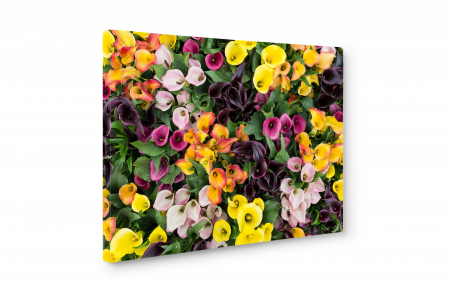 Tablou canvas : Flori frumoase colorate [2]