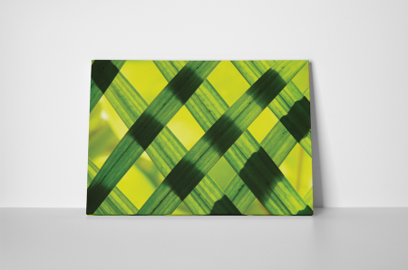 Tablou canvas : Frunze verzi [1]