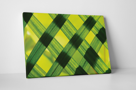 Tablouri Canvas - Tablou canvas : Frunze verzi