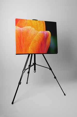 Tablou canvas : Petale [2]