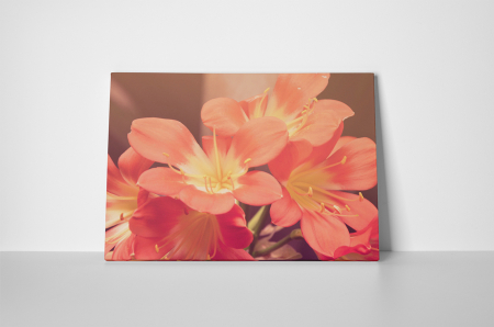 Tablou canvas : Floricele [1]