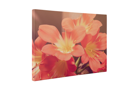 Tablou canvas : Floricele [4]